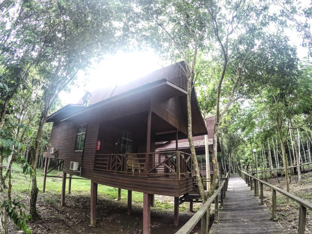 Bilit Rainforest Lodge Sandakan Bagian luar foto